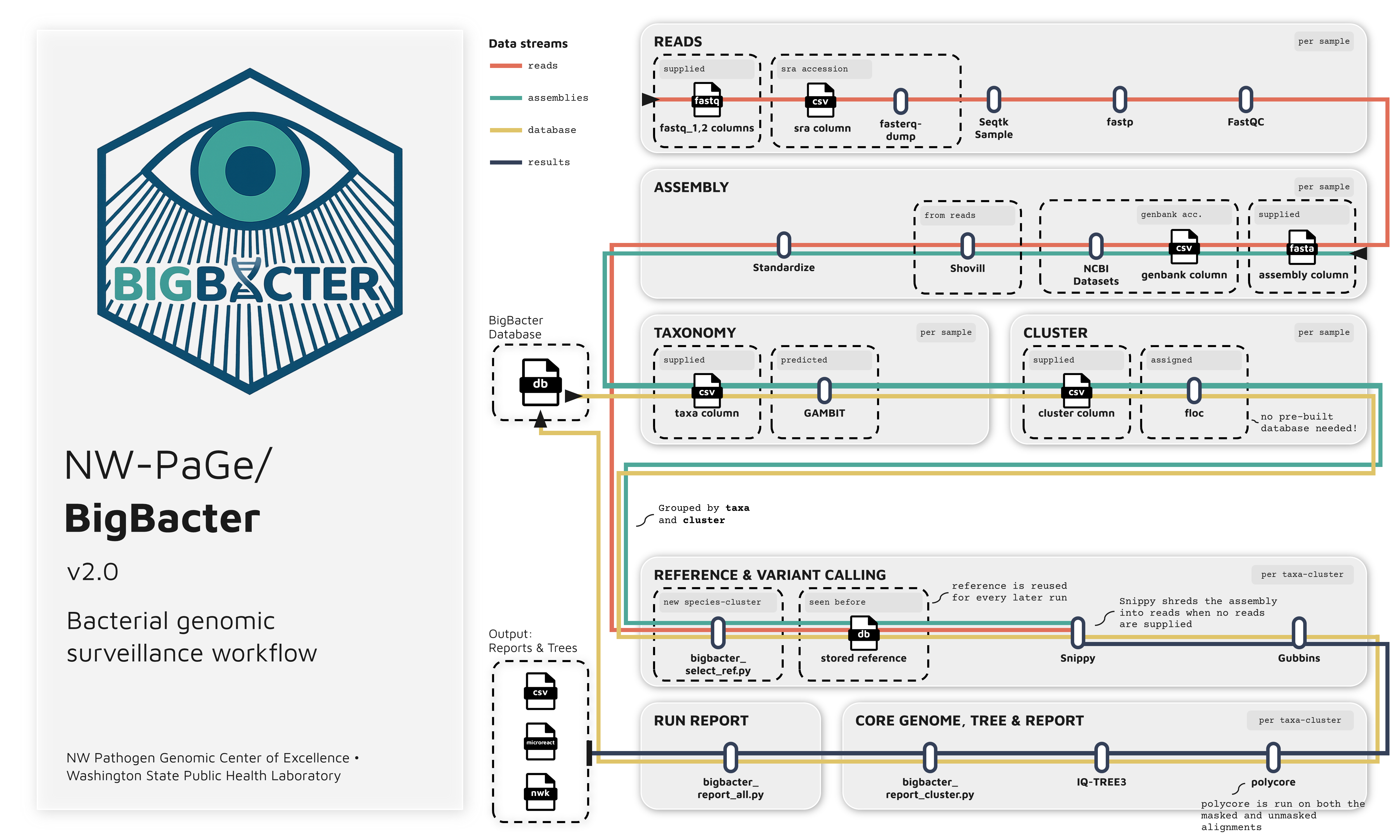 BigBacter Flowchart